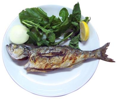 fish